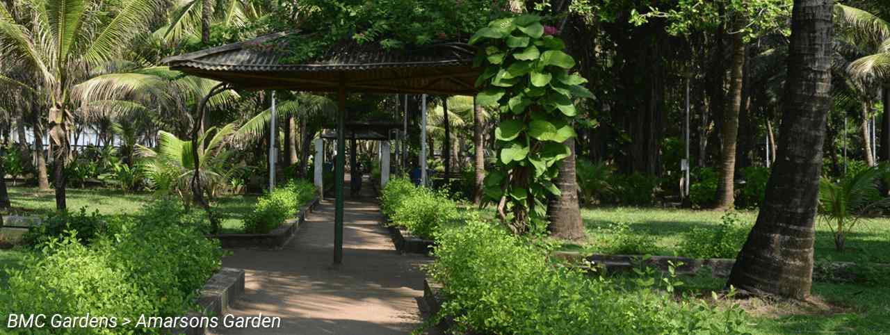 BMC Website > For Tourists > BMC Gardens